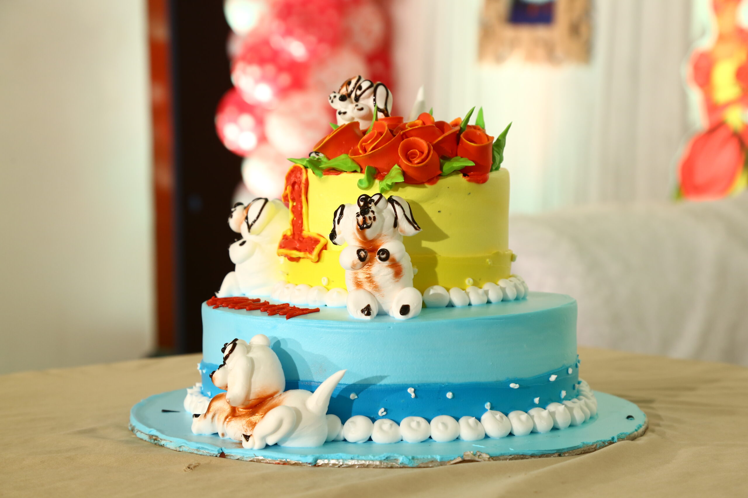 Birthday party organizers hyderabad